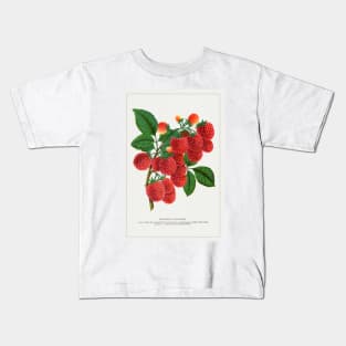 Shaffer's Colossal Raspberry Lithograph (1900) Kids T-Shirt